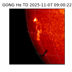 gong - 2025-11-07T09:00:22