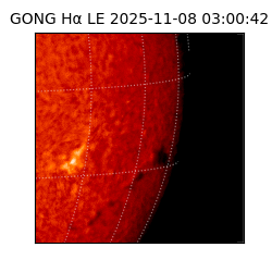 gong - 2025-11-08T03:00:42