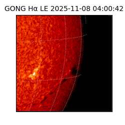 gong - 2025-11-08T04:00:42