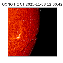 gong - 2025-11-08T12:00:42