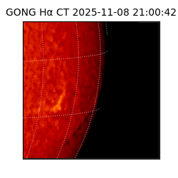 gong - 2025-11-08T21:00:42