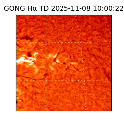 gong - 2025-11-08T10:00:22