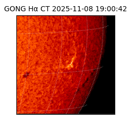 gong - 2025-11-08T19:00:42