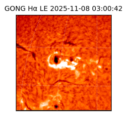 gong - 2025-11-08T03:00:42