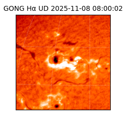 gong - 2025-11-08T08:00:02