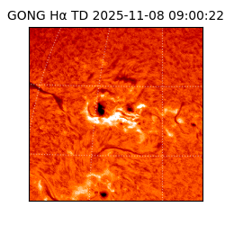 gong - 2025-11-08T09:00:22