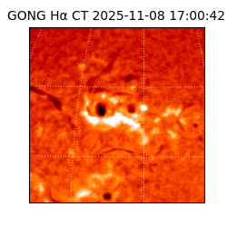 gong - 2025-11-08T17:00:42