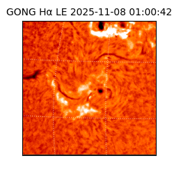 gong - 2025-11-08T01:00:42