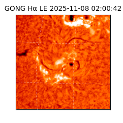 gong - 2025-11-08T02:00:42