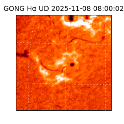 gong - 2025-11-08T08:00:02