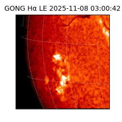 gong - 2025-11-08T03:00:42