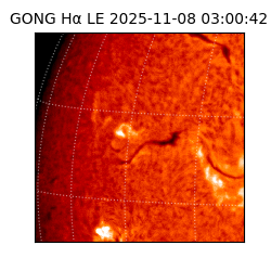 gong - 2025-11-08T03:00:42
