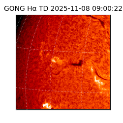gong - 2025-11-08T09:00:22