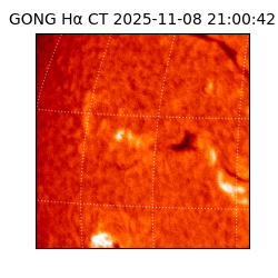 gong - 2025-11-08T21:00:42