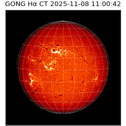 gong - 2025-11-08T11:00:42