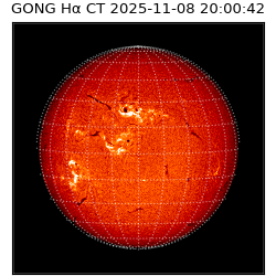 gong - 2025-11-08T20:00:42