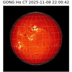 gong - 2025-11-08T22:00:42