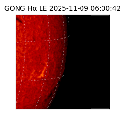 gong - 2025-11-09T06:00:42