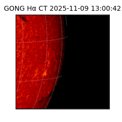 gong - 2025-11-09T13:00:42
