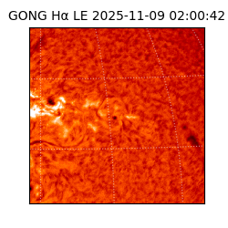 gong - 2025-11-09T02:00:42