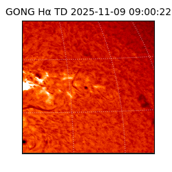 gong - 2025-11-09T09:00:22