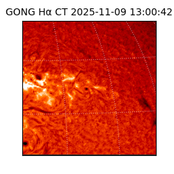 gong - 2025-11-09T13:00:42