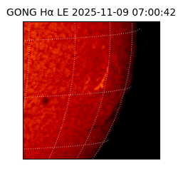 gong - 2025-11-09T07:00:42