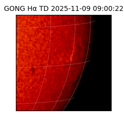 gong - 2025-11-09T09:00:22