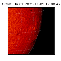 gong - 2025-11-09T17:00:42