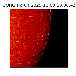 gong - 2025-11-09T19:00:42