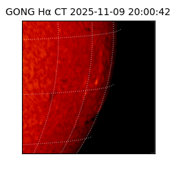 gong - 2025-11-09T20:00:42