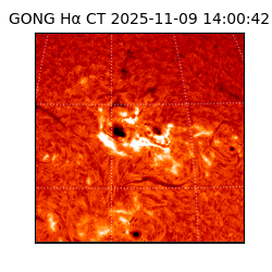 gong - 2025-11-09T14:00:42