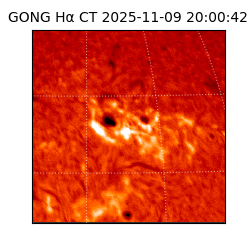 gong - 2025-11-09T20:00:42