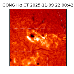 gong - 2025-11-09T22:00:42