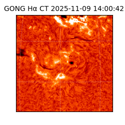 gong - 2025-11-09T14:00:42