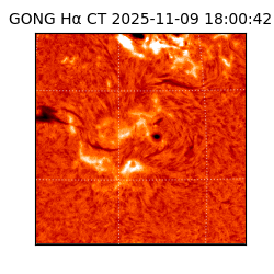 gong - 2025-11-09T18:00:42
