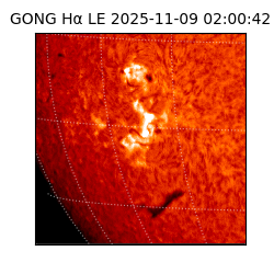gong - 2025-11-09T02:00:42