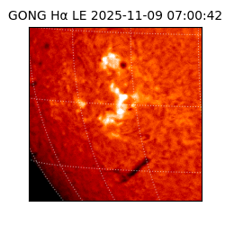 gong - 2025-11-09T07:00:42