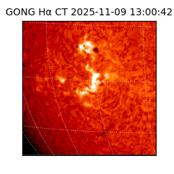 gong - 2025-11-09T13:00:42