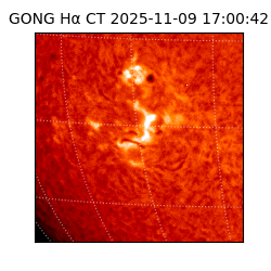 gong - 2025-11-09T17:00:42