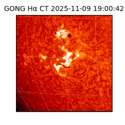 gong - 2025-11-09T19:00:42