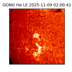 gong - 2025-11-09T02:00:42