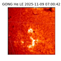 gong - 2025-11-09T07:00:42