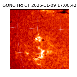 gong - 2025-11-09T17:00:42