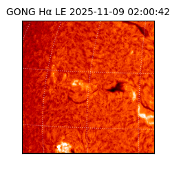 gong - 2025-11-09T02:00:42