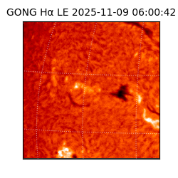 gong - 2025-11-09T06:00:42