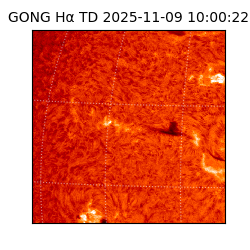 gong - 2025-11-09T10:00:22