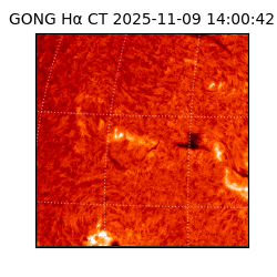 gong - 2025-11-09T14:00:42