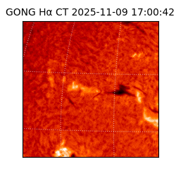 gong - 2025-11-09T17:00:42