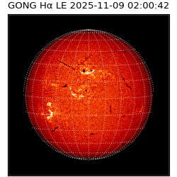 gong - 2025-11-09T02:00:42